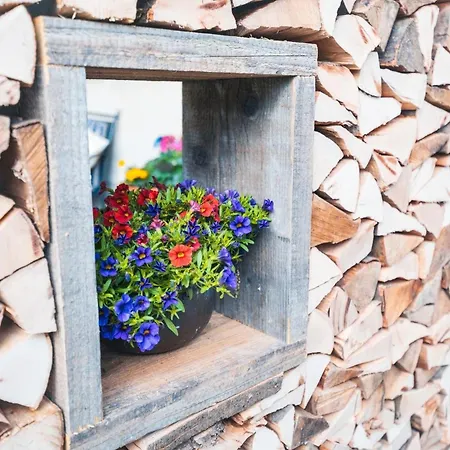 Haus Belchenwind アパート ミュンスタータール