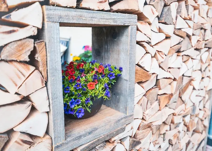 Haus Belchenwind Appartement Münstertal